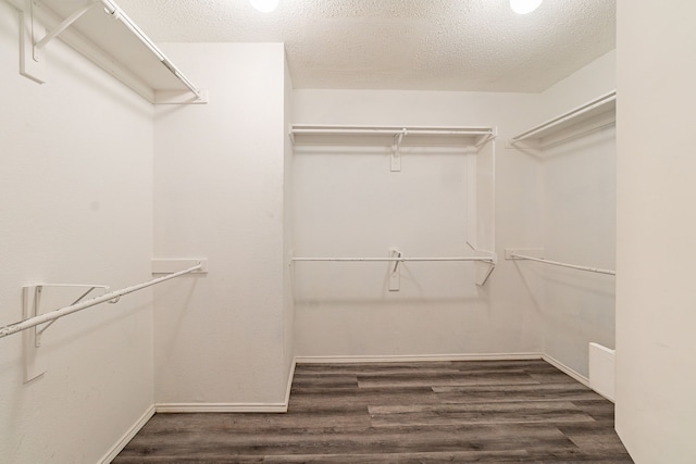 walk in closet featuring dark hardwood / wood-style flooring