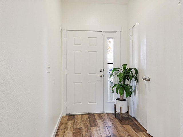 entrance foyer featuring dark wood-type flooring