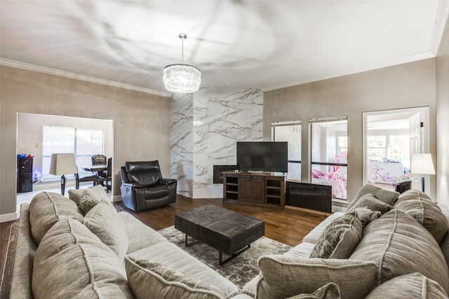 living room featuring dark wood-type flooring, crown molding, a healthy amount of sunlight, and a notable chandelier