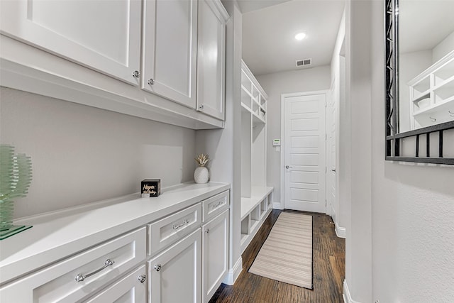 mudroom featuring dark hardwood / wood-style floors