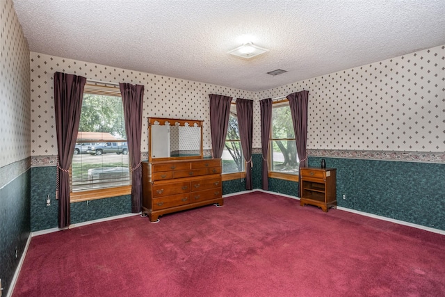 interior space featuring carpet and a textured ceiling