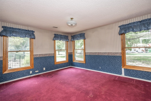 empty room with carpet and a textured ceiling