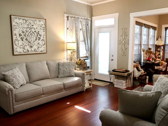 living room featuring dark hardwood / wood-style floors and a wealth of natural light