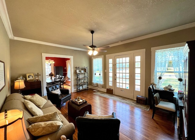 living room with wood-type flooring, crown molding, ceiling fan with notable chandelier, and a textured ceiling