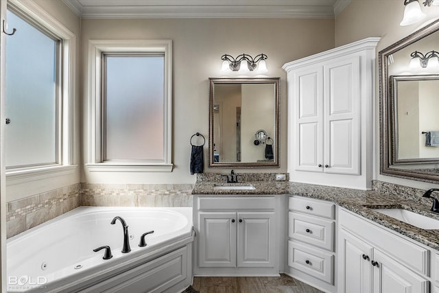 bathroom featuring ornamental molding, vanity, and a washtub