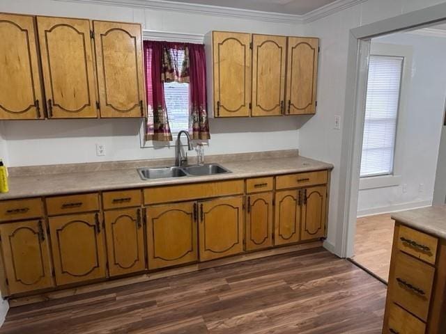 kitchen with crown molding, sink, and dark wood-type flooring