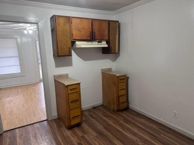 kitchen featuring crown molding, ceiling fan, and dark wood-type flooring