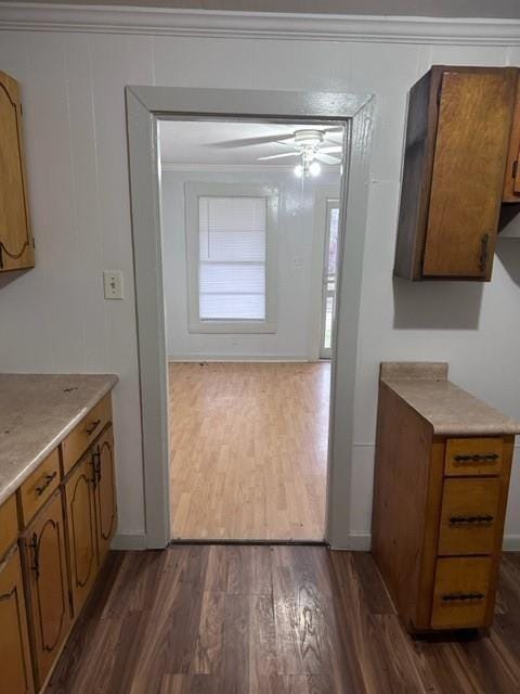 kitchen with dark hardwood / wood-style floors, ceiling fan, and crown molding