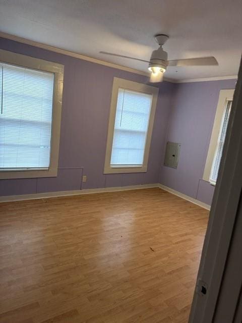 unfurnished room with ceiling fan, ornamental molding, a wealth of natural light, and light hardwood / wood-style flooring