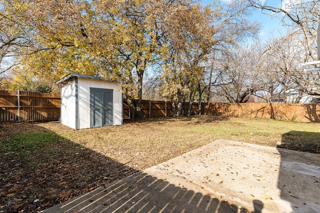 view of yard featuring a patio and a storage shed