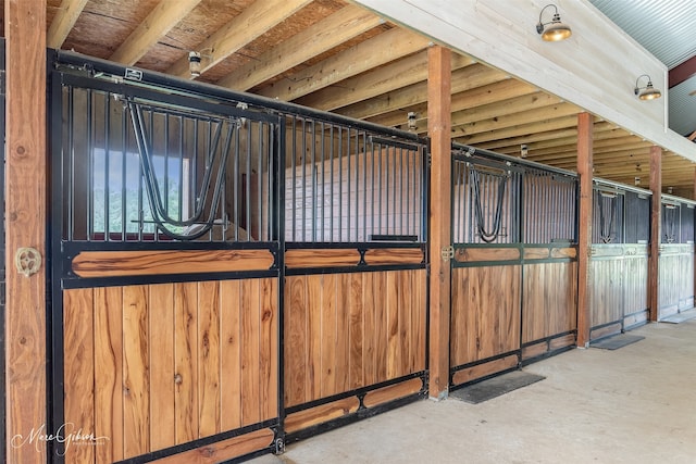 view of horse barn