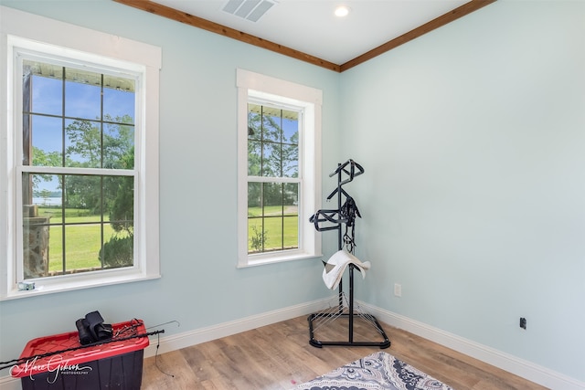 workout room with hardwood / wood-style floors