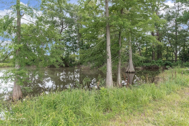 view of nature with a water view