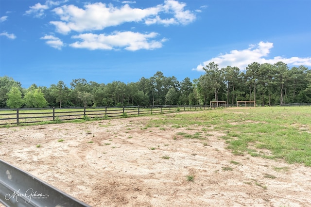 view of yard featuring a rural view