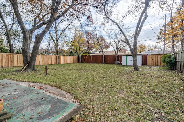 view of yard with a storage unit