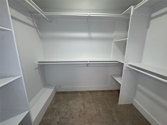 spacious closet with dark carpet