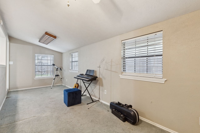 exercise room featuring light carpet and lofted ceiling