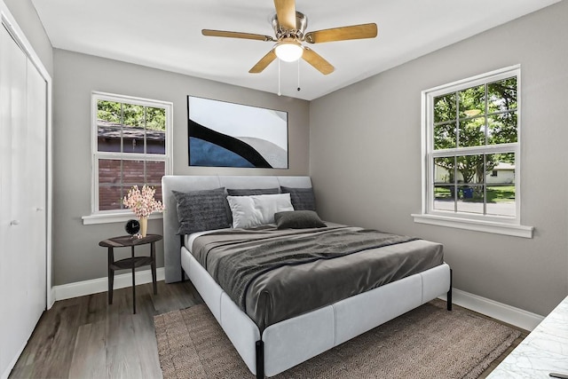 bedroom featuring ceiling fan, a closet, dark wood-type flooring, and multiple windows