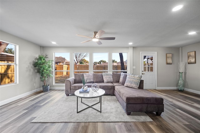 living room with ceiling fan, hardwood / wood-style floors, and a textured ceiling