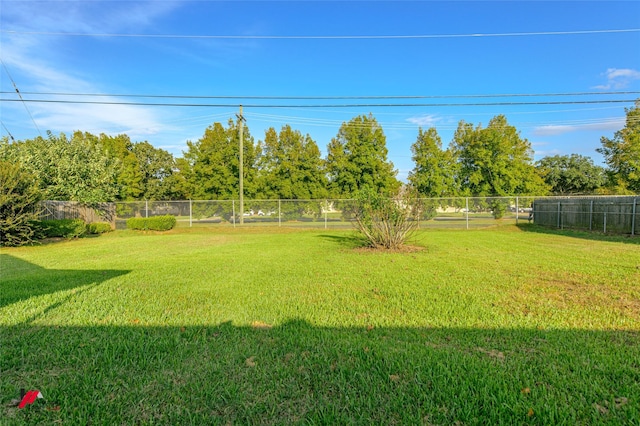 view of yard