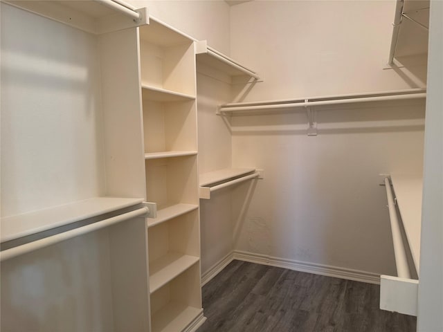 spacious closet featuring dark hardwood / wood-style flooring