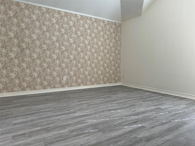 spare room with dark wood-type flooring