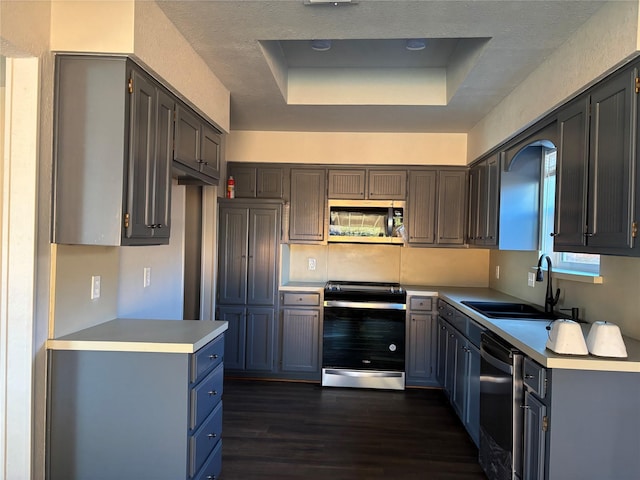 kitchen featuring dark hardwood / wood-style flooring, sink, stainless steel appliances, and a tray ceiling