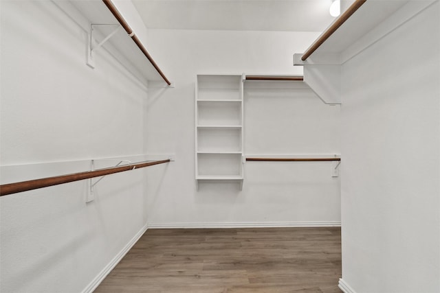 spacious closet featuring wood-type flooring