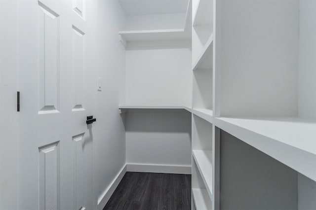 walk in closet with dark wood-type flooring