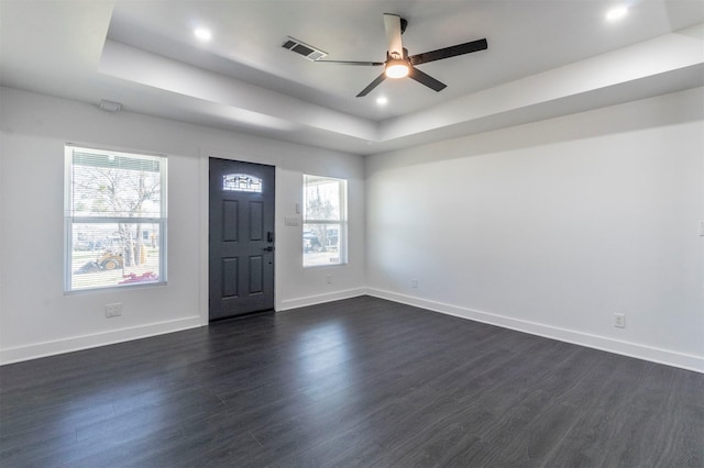 foyer entrance featuring a healthy amount of sunlight, a raised ceiling, and dark wood-type flooring