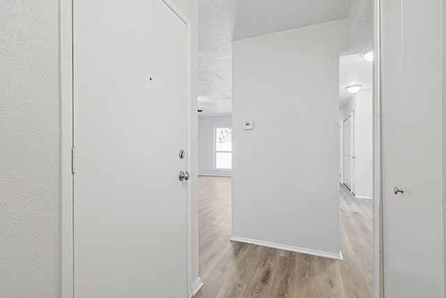 hall with light hardwood / wood-style flooring