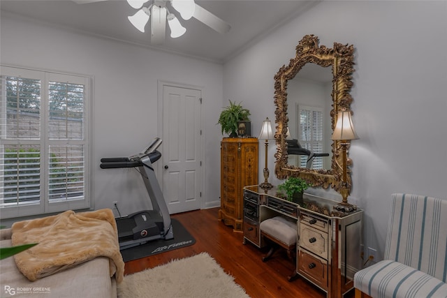 workout area featuring ornamental molding, radiator, dark wood-type flooring, and ceiling fan