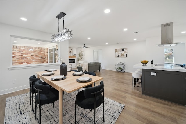 dining space featuring ceiling fan and light hardwood / wood-style flooring