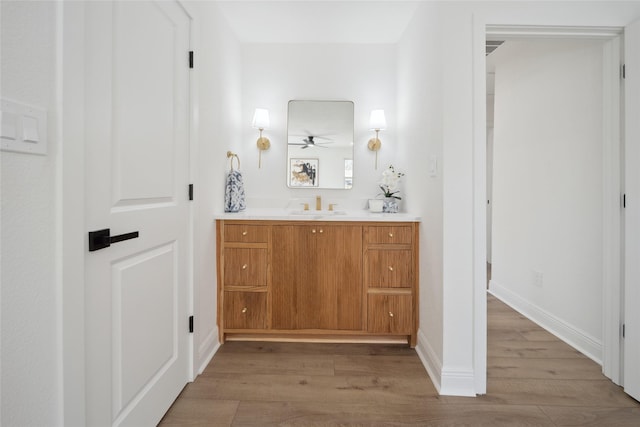 bathroom with hardwood / wood-style floors and vanity