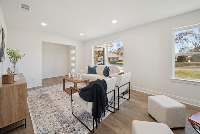 living room featuring light hardwood / wood-style flooring