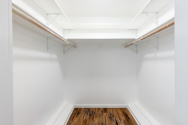 spacious closet with dark hardwood / wood-style flooring