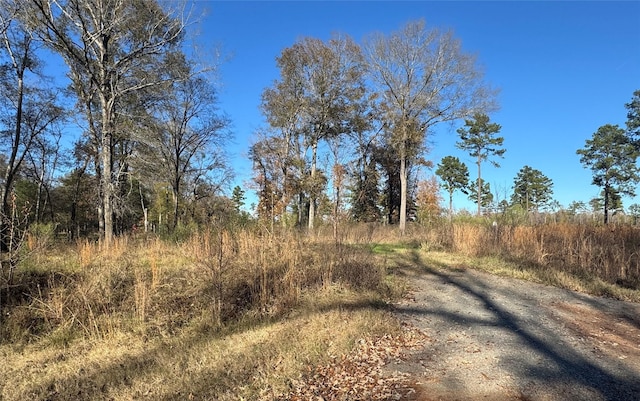 0 Locust Hill Rd, Greenwood LA, 71033 land for sale