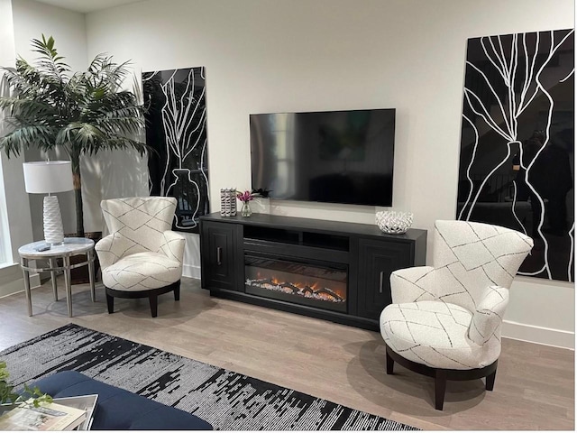 living room with hardwood / wood-style flooring