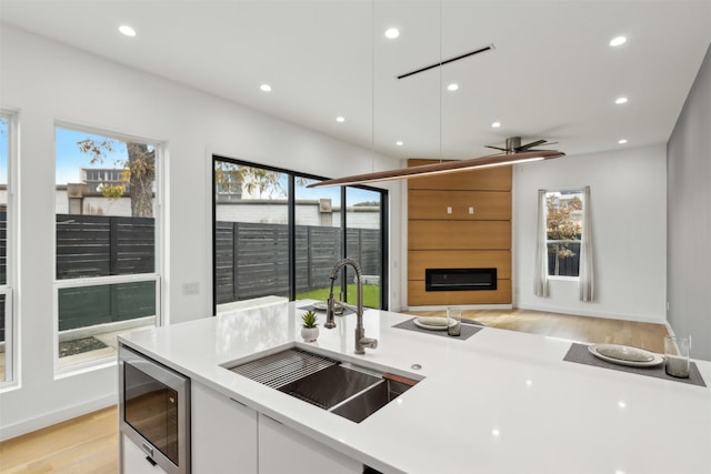 kitchen with built in microwave, sink, ceiling fan, light hardwood / wood-style floors, and white cabinets