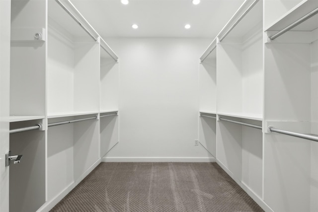 walk in closet with dark carpet