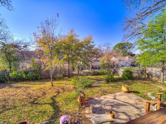 view of yard with a patio area