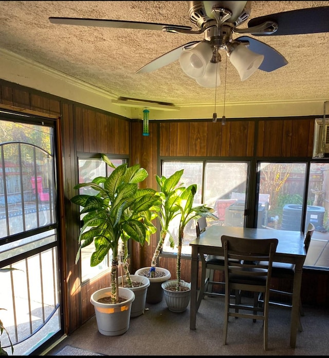 sunroom featuring ceiling fan and a healthy amount of sunlight