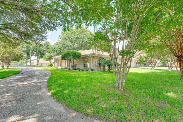 ranch-style home with a front yard