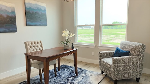 home office featuring hardwood / wood-style flooring