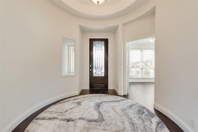 entrance foyer featuring dark hardwood / wood-style flooring