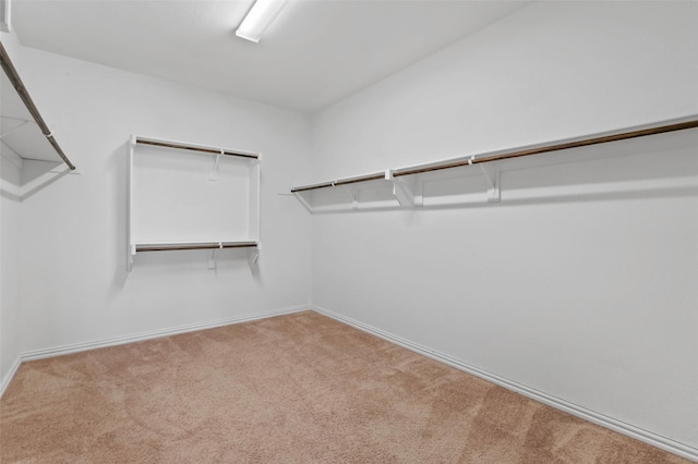 spacious closet with carpet flooring