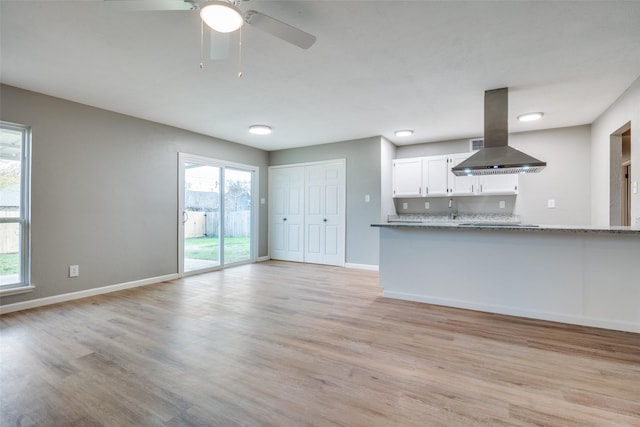 unfurnished living room with light hardwood / wood-style floors and a healthy amount of sunlight