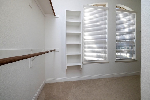 walk in closet with carpet