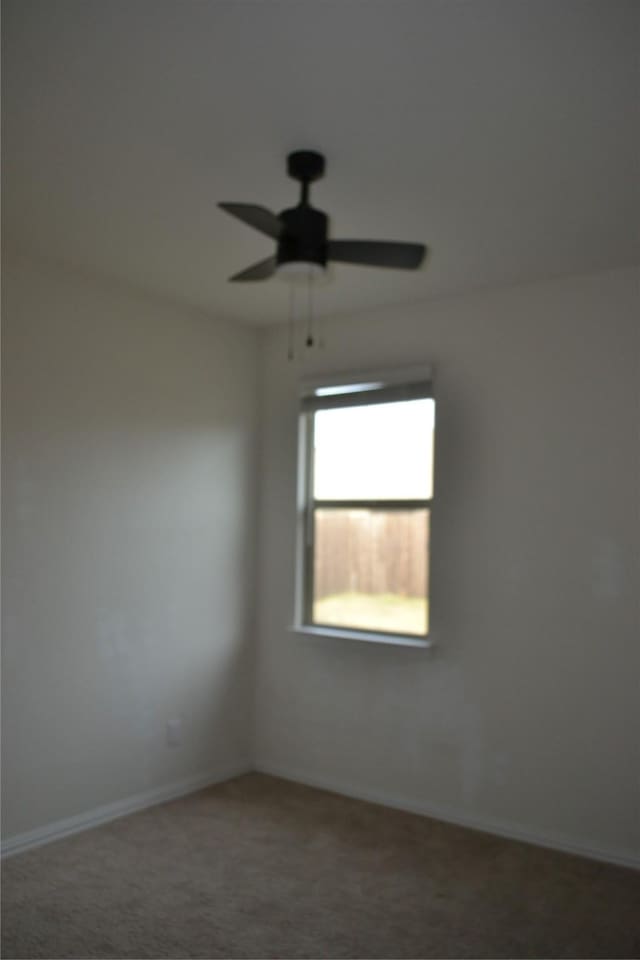 empty room featuring ceiling fan and carpet