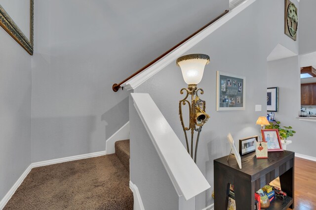 stairway with carpet floors